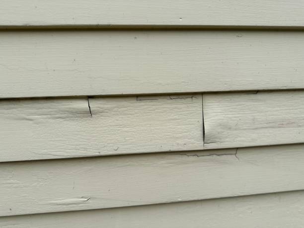 Same-Day Junk Removal Services in Yamhill, OR